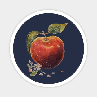 Watercolor apple Magnet